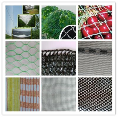 المكون الأساسي الذي يحدد أداء آلة الحياكة