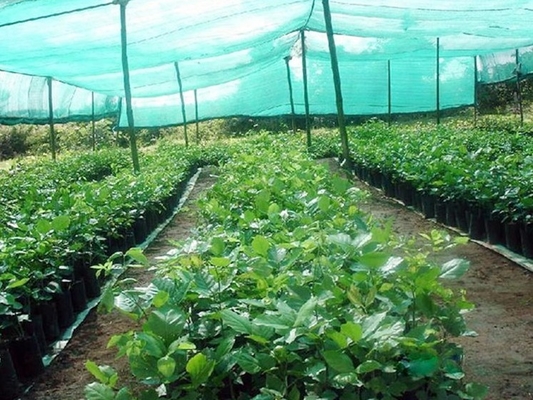 إبرة مزدوجة ظل شبكة ظل الشمس DRCA نوع HDPE المادة العذراء أشعة الشمس الخضراء شبكة الظل صنع آلة